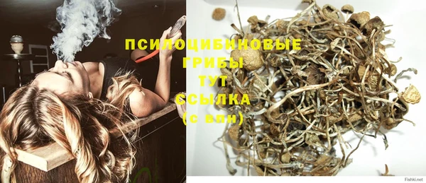 стафф Балабаново