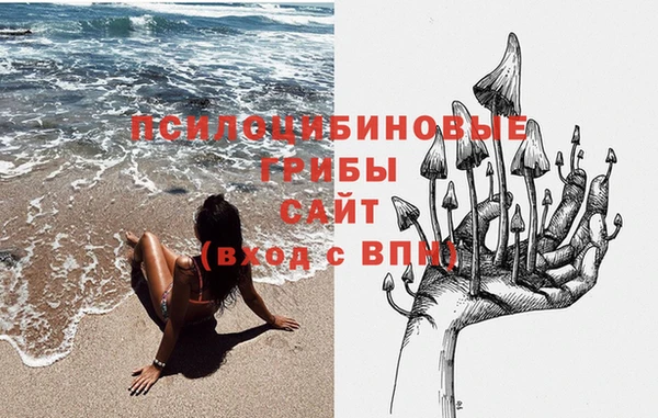 мяу мяу мука Балахна